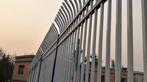 1572789177397002484.jpg 7.jpg