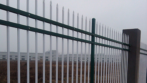 1572964295788031718.jpg 4.jpg